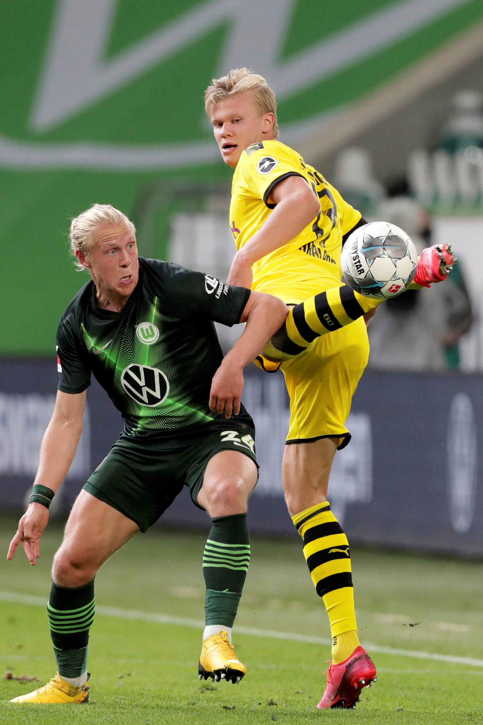 可以看到 可以看到